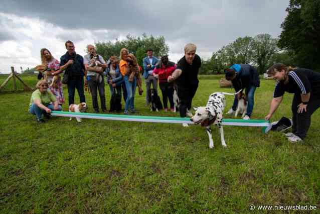 Hondenlosloopweide Koningshoek officieel geopend: “Verborgen pareltje tussen spoorweg en Groene 62”