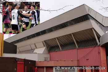 Gateshead FC could leave International Stadium as 'plan B' to avoid repeat of EFL promotion denial