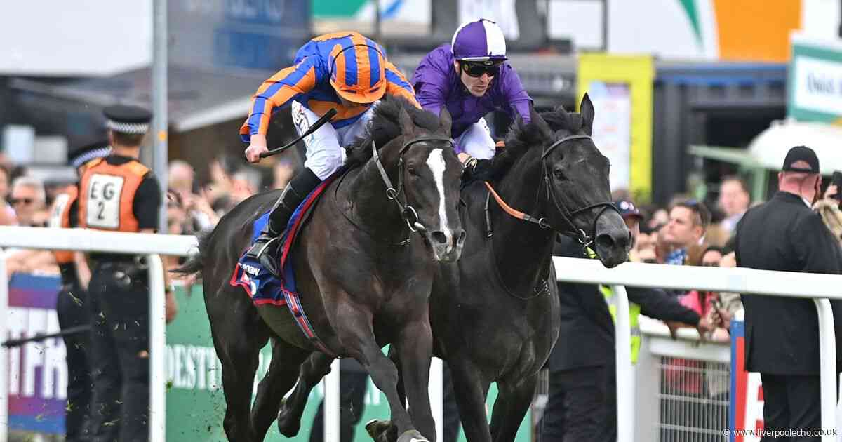 Royal Ascot 2024 Day Two: Auguste Rodin can win the Prince Of Wales's Stakes