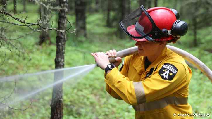 Recent rainfall drops Calgary Forest Area wildfire risk to low