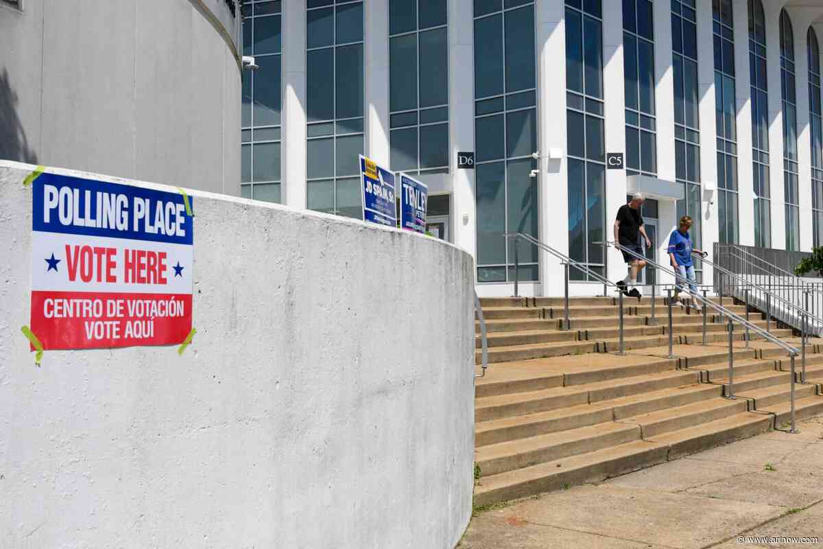 Primary voting for County Board, U.S. Senate sees slow start
