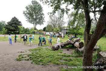 Basisschool De Knipoog kan 15.000 euro investeren in groenre speelplaats: “Meerwaarde voor klimaat en gezondheid”