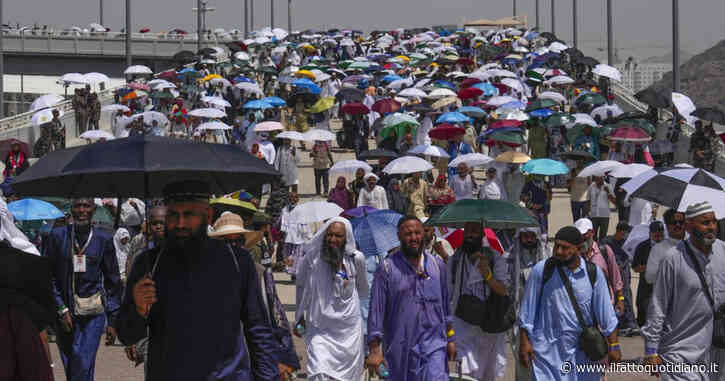 Strage tra i pellegrini in viaggio per La Mecca. Oltre 300 morti egiziani a causa del caldo torrido