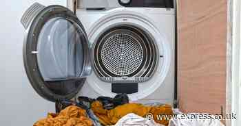 ‘I’m an appliance expert - these habits could be destroying your white goods’