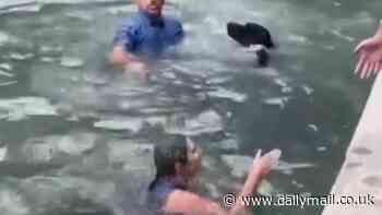 Shocking video shows man kick his dog into water then assault woman who jumped in to save it