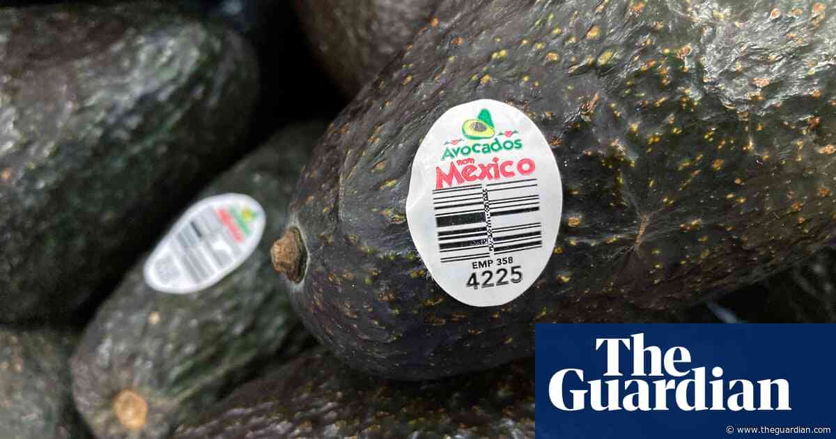 US pauses avocado and mango inspections in Mexico after attack