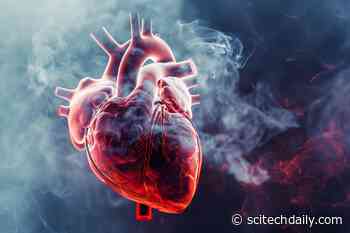 New Findings: Air Pollution’s Surprising Effect on Heart Risk for Cancer Patients