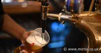 Beer drinkers desperate for foamy head pints to be banned by new government