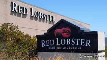 Ontario court approves sales process for Red Lobster Canada