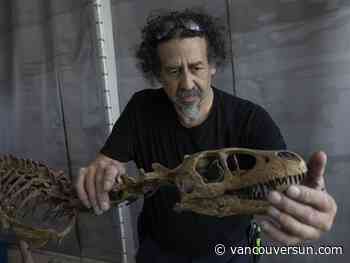 New UBC exhibit offers peek into dinosaurs' lives before extinction