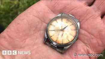 Rolex 'eaten by cow' reappears after 50 years