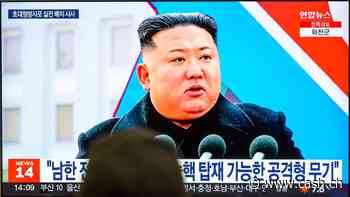 Russland und Nordkorea besiegeln «strategische Festung» gegen den Westen
