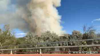 Bosque fire burns in southwest Albuquerque