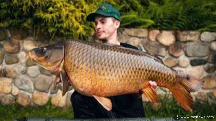 Angler reels in 45-pound carp, breaking record
