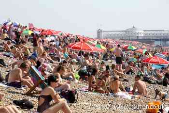 Forecaster issues official heatwave odds for UK next week amid 'hot continental air'