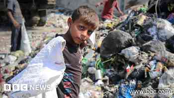 'A slow death': Gazans live alongside rotting rubbish and rodents