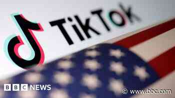 TikTok faces fresh US pressure over child privacy