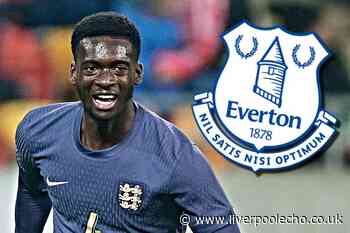 Tim Iroegbunam transfer would meet first Sean Dyche demand at Everton