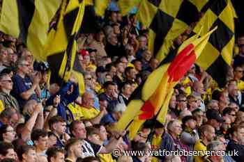 They feature at Watford home games but you won't know them