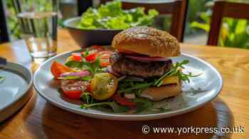 University of York: More consumers to turn to lab-grown meat – experts