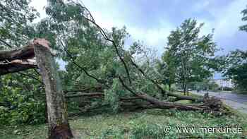 DWD: Keine Hinweise auf Tornado in Gröditz