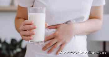 NHS doctor reveals simple trick that can reduce lactose intolerance symptoms