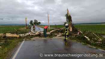 Straßensperrung wegen Sturmschäden bei Baddeckenstedt