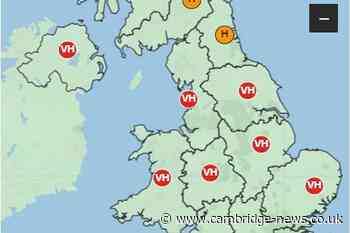 Pollen count Cambridge: Highest pollen rating in place for Cambridgeshire right now