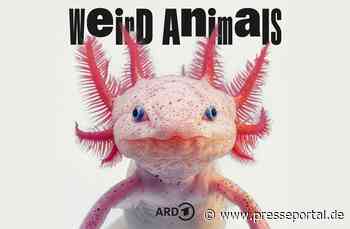 "Weird Animals": neuer Podcast über die Komik der Tierwelt in der ARD Audiothek