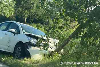 Politie verhoort Franse bestuurder na mysterieus ongeval: auto verlaten na zware botsing