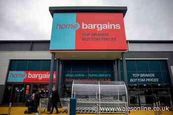 Home Bargains' £6 Jet2 and Ryanair-approved carry-on bag 'fits absolutely loads'