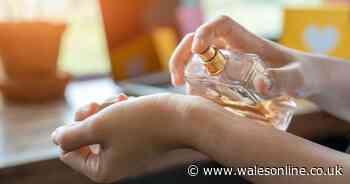 Your empty perfume bottles could be worth thousands of pounds, experts say