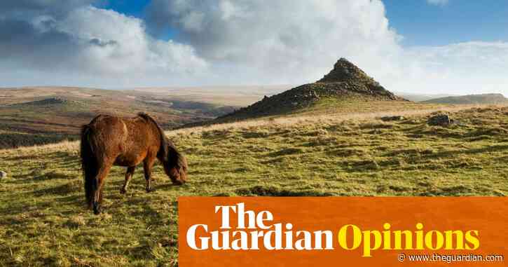 Sunak’s government has almost destroyed Natural England – just for doing its job | Guy Shrubsole