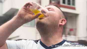 Does England's 'magic potion' work for ordinary people? Mail Sport asks football fans at the Euros to try pickle juice