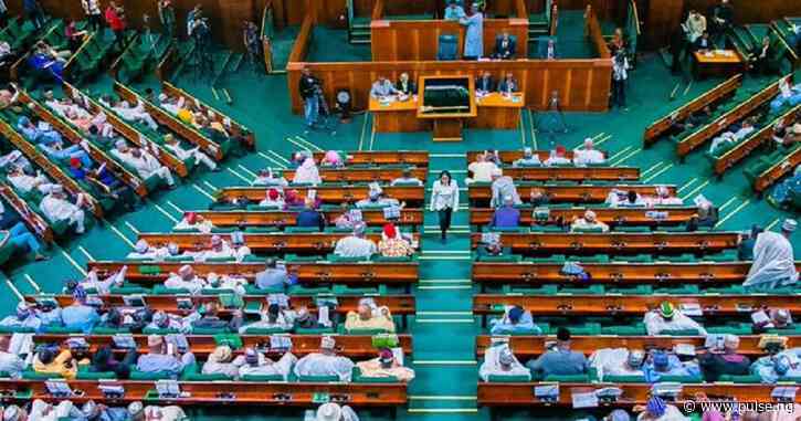 Reps praise NAF's bravery in protecting Nigeria from insurgents and bandits