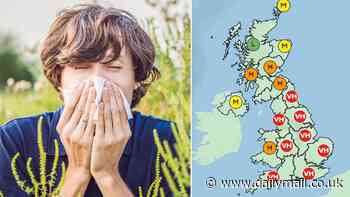 Hay fever alert: Maps reveal if YOU are in a 'pollen bomb' location, as asthma experts urge patients to watch out for life-threatening allergy-triggered attacks