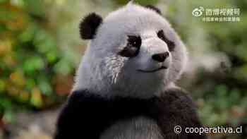 China presenta el primer oso panda virtual impulsado por IA y su metaverso