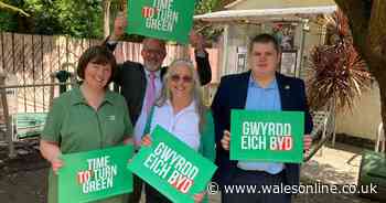 What does the future hold for the Greens in Wales?