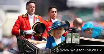 Kate Middleton and King Charles missing as senior royals head to Royal Ascot