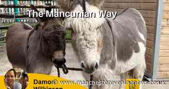 The Mancunian Way: Donkey dilemma
