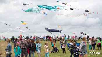 Volunteers rally to save Swift Current's Windscape Kite Festival
