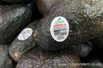Avocado prices could spike as attacks on US workers amid Mexico cartel violence see inspections halted