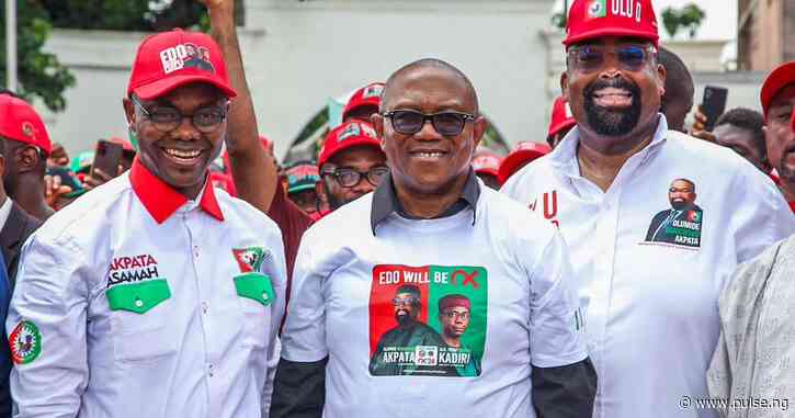 Labour Party on mission to rescue Edo - Deputy governorship candidate