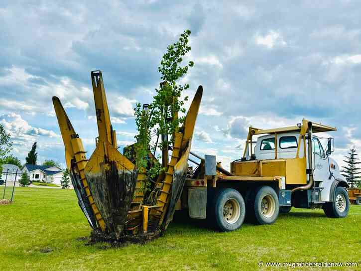 City of Grande Prairie receives $10,000 to support tree planting