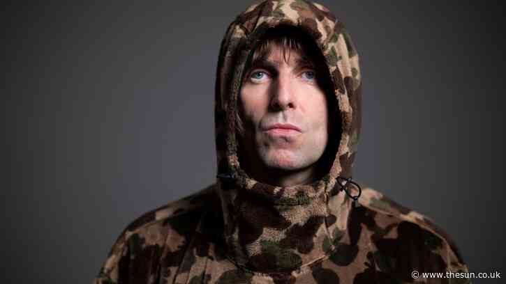 Liam Gallagher goes to war with his neighbours again as he reveals plan to install swanky new pool