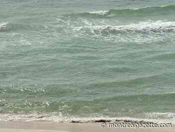 3 Alabama men die after becoming distressed while swimming at Florida beach