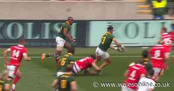 The four controversial moments that swung momentum for South Africa against Wales