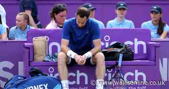 Andy Murray to miss Wimbledon and Olympics through injury as retirement plans now in disarray