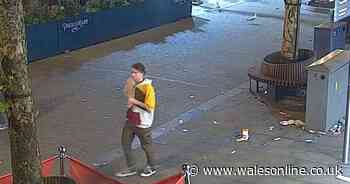 Police investigate early-hours sexual assaults in Swansea as CCTV image released