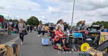 'I went to a car boot sale for the first time in years and everyone seemed to be there for one thing'